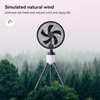 Camping Portable Battery Operated Tripod Stand Fan